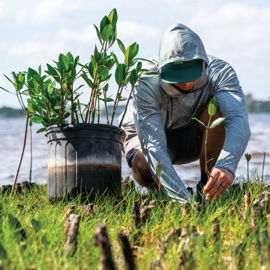 MANG Plant Pro - 1 Mang-