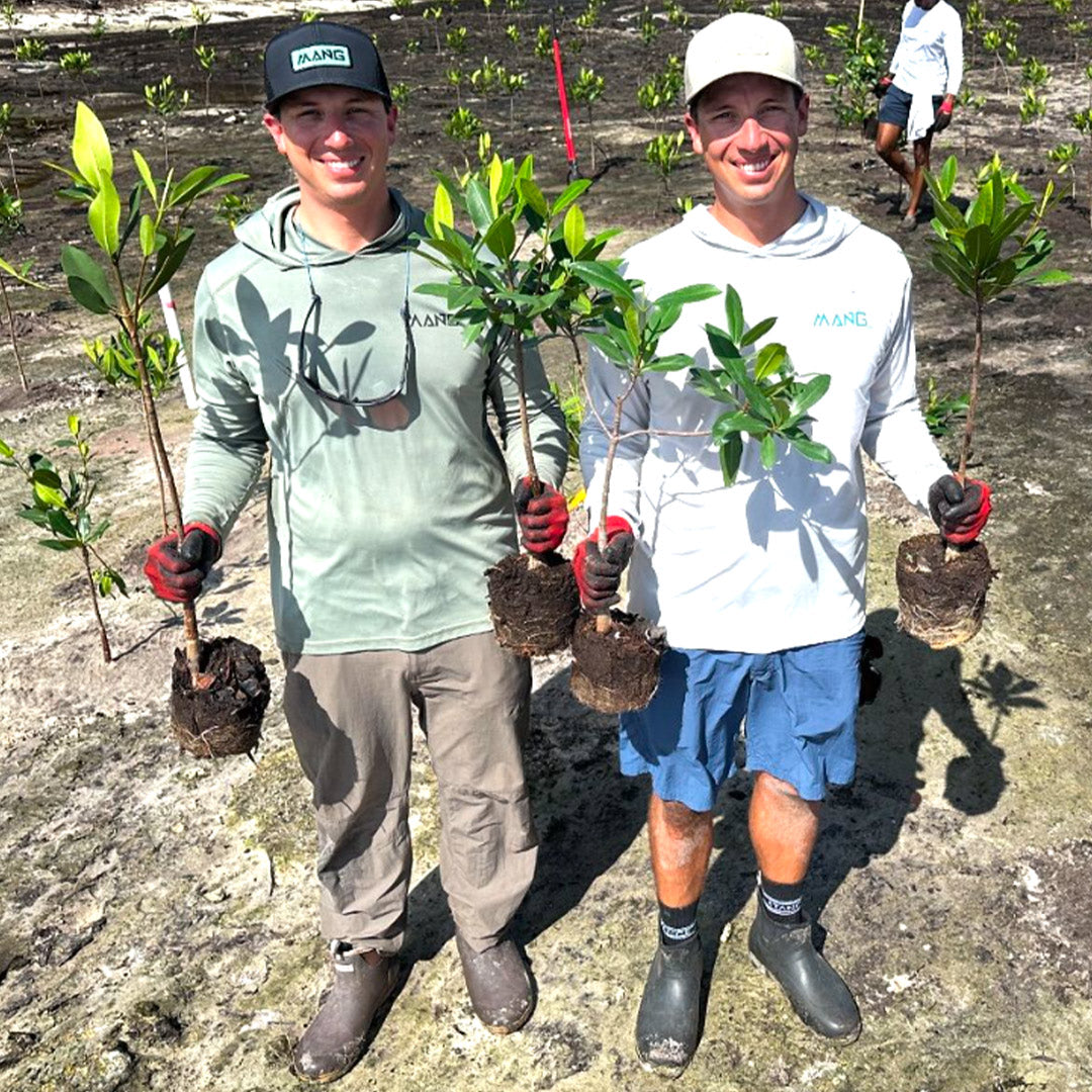 MANG Plant Pro - 5 Mangs-