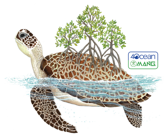 MANG 4ocean Turtle - Sticker - -